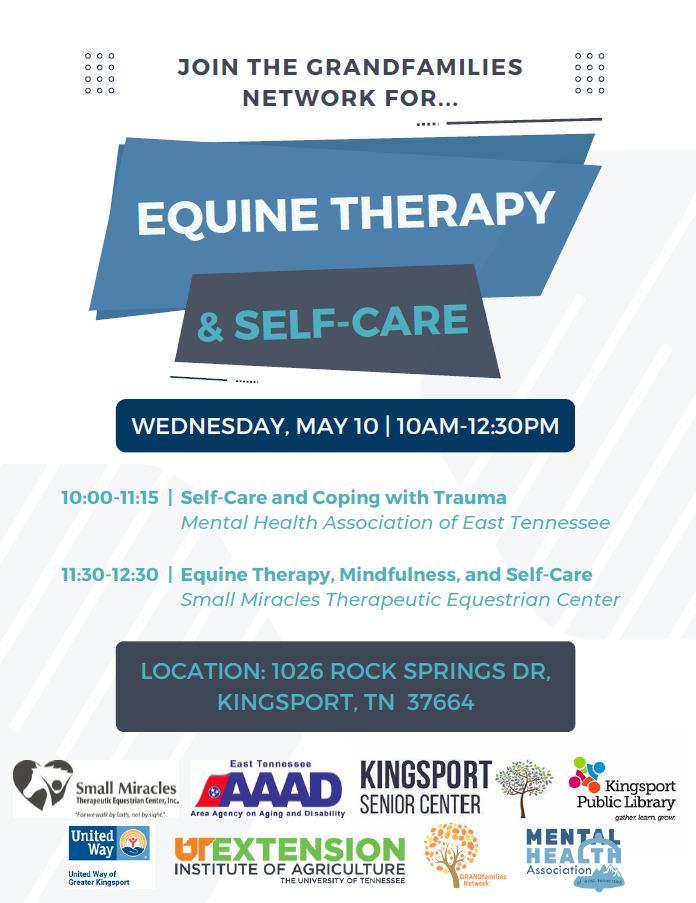 Equine Therapy